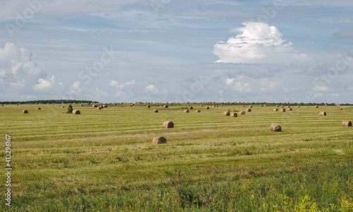 Hay bales in the farm field, agriculture, rural landscape