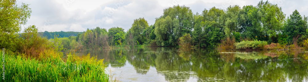 Summer panorama with trees and sedge on the shore river, reflection of trees in the river water
