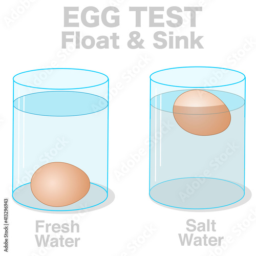 Egg test, float, sink experiment. Salt, water, egg, transparent blue water in glass cup. Different density. Fresh raw eggs floating and sinking in salty and drinking water. Science illustration vector
