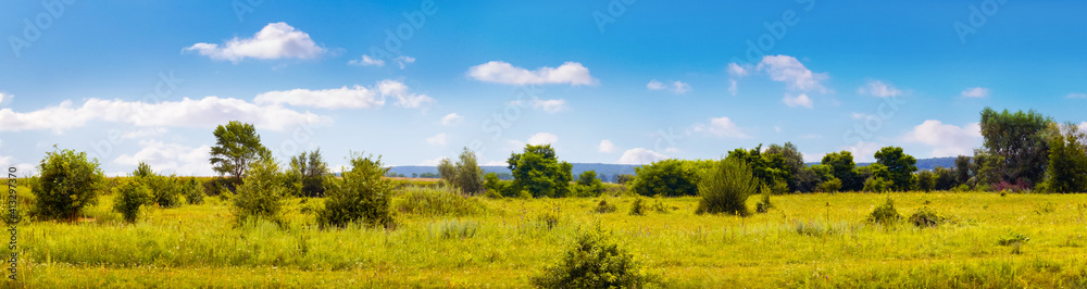 Green meadow with grass, single trees and blue sky with white clouds Green meadow with grass, single trees and blue sky with white clouds