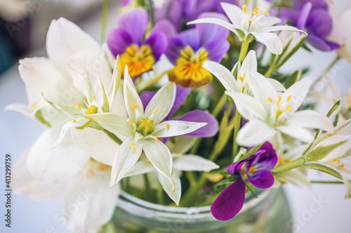 bouquet of spring flowers-wood anemones with violet and wild onion flowers in a glass vase on a light background. copy space