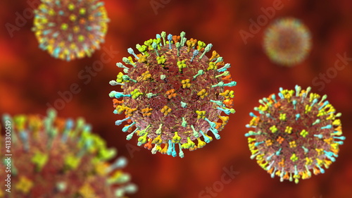 Hendra virus infection photo