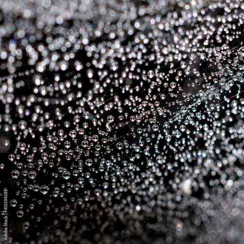 A lot of small water drops on spiderweb as black and white natural background. Square format, filigree wet spiderweb