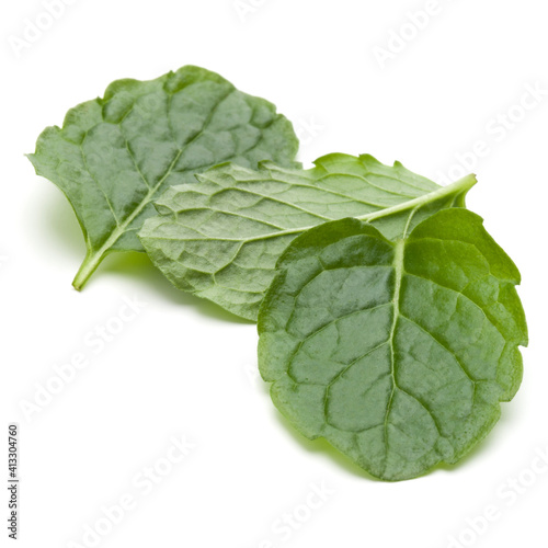 Peppermint herb isolated on white background cutout. Mint leaves.