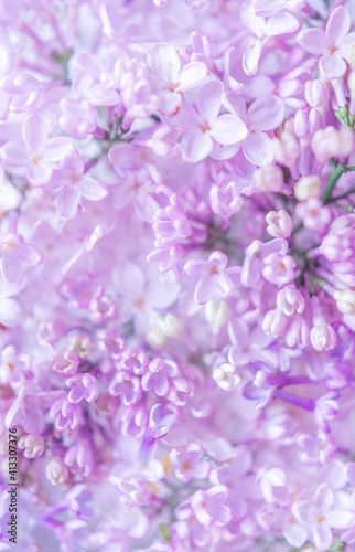 Vertical background with lilac flowers. Close-up of lilac flowers