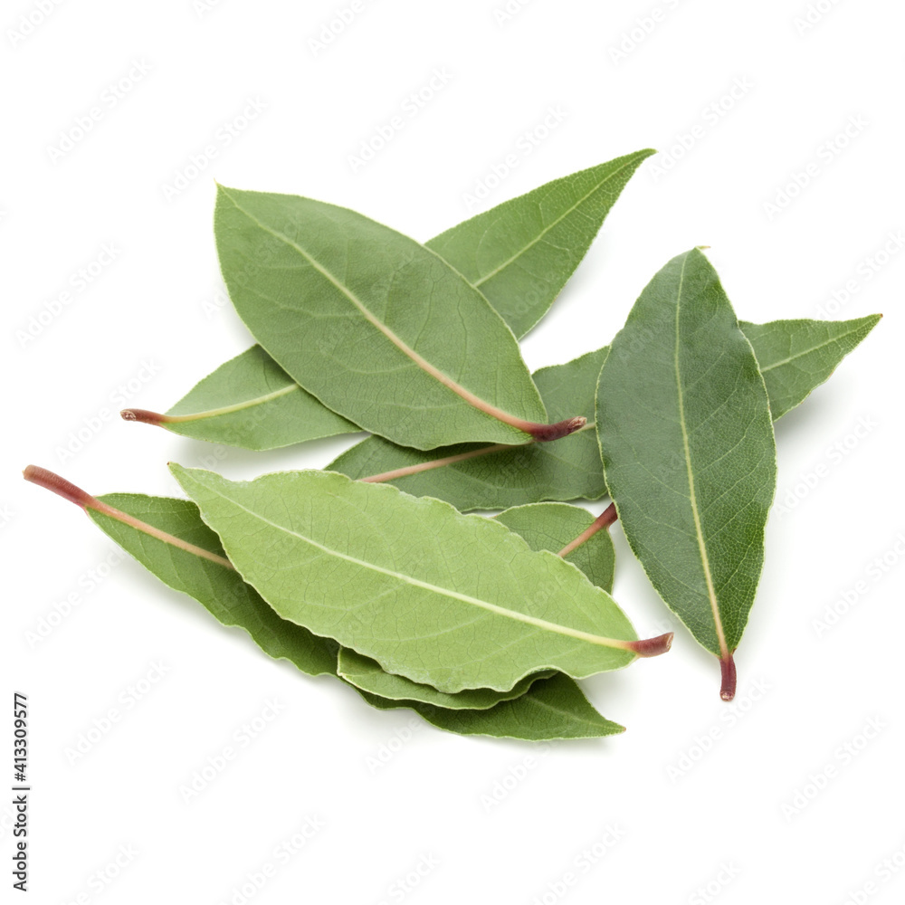 Obraz premium Aromatic bay leaves