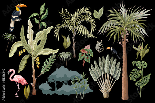 Jungle animals, flowers and trees isolated. Vector.