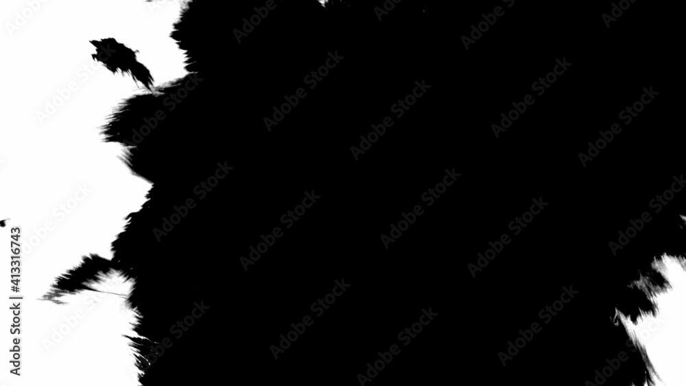 Ink bloom. black ink blots on isolated white background. ink drops transition
