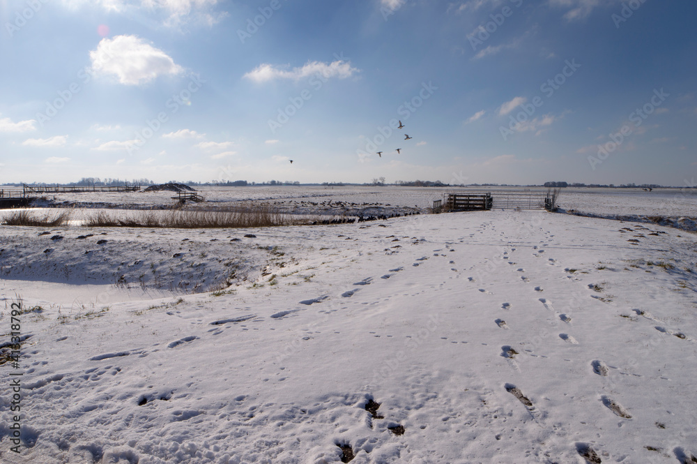 The snow covered meadows of Abcoude, The Netherlands