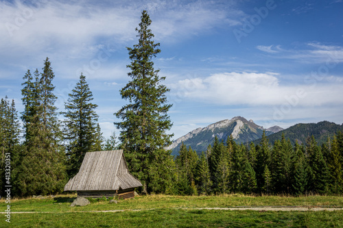 Fototapeta Naklejka Na Ścianę i Meble -  Sunny glade - Rusinowa Polana, Tatra Mountains, Poland