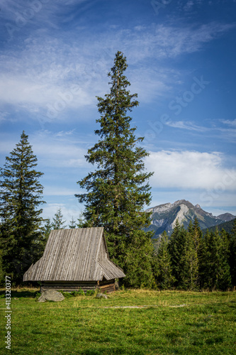 Sunny glade - Rusinowa Polana, Tatra Mountains, Poland