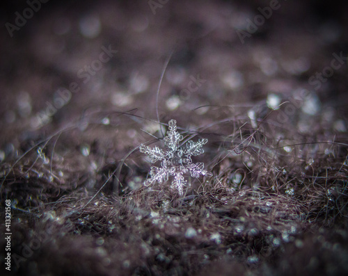 Snowflake at -11C