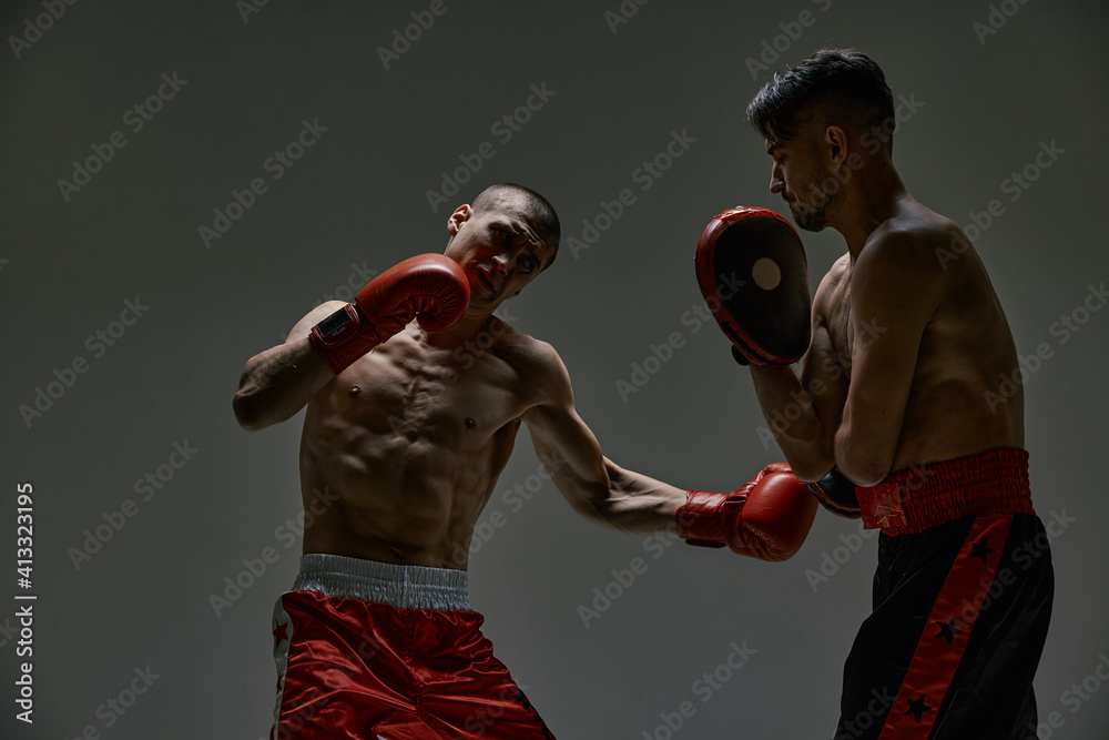 Boxers athletic males in boxing gloves fighting during workout on gray ...