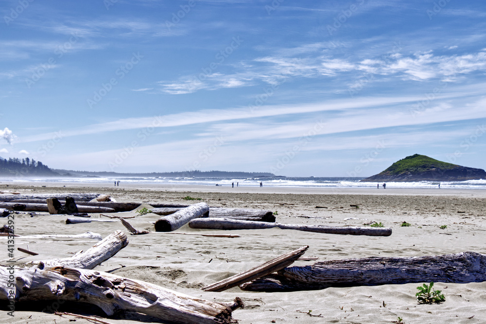 Lots of driftwood on the Long Beach near Tofino, Vancouver Island Lots of driftwood on the Long Beach near Tofino, Vancouver Island