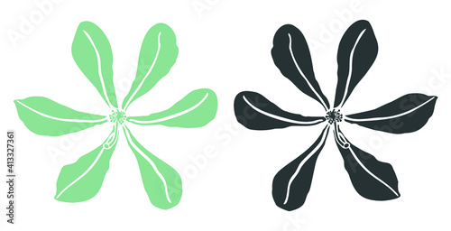 Wallpaper Mural Six petals flower blue and black Torontodigital.ca