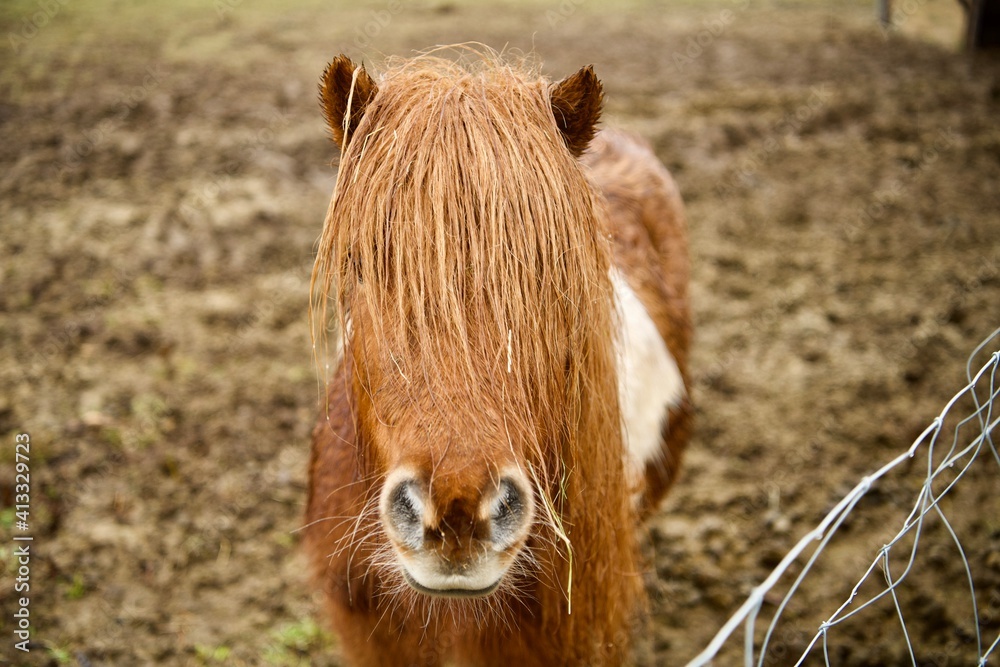 Fototapeta premium Kein Frisör