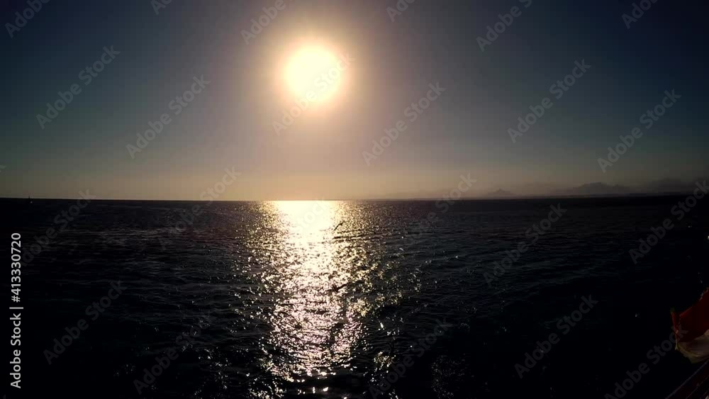 Beautiful sunset on the Red Sea with flying seagulls