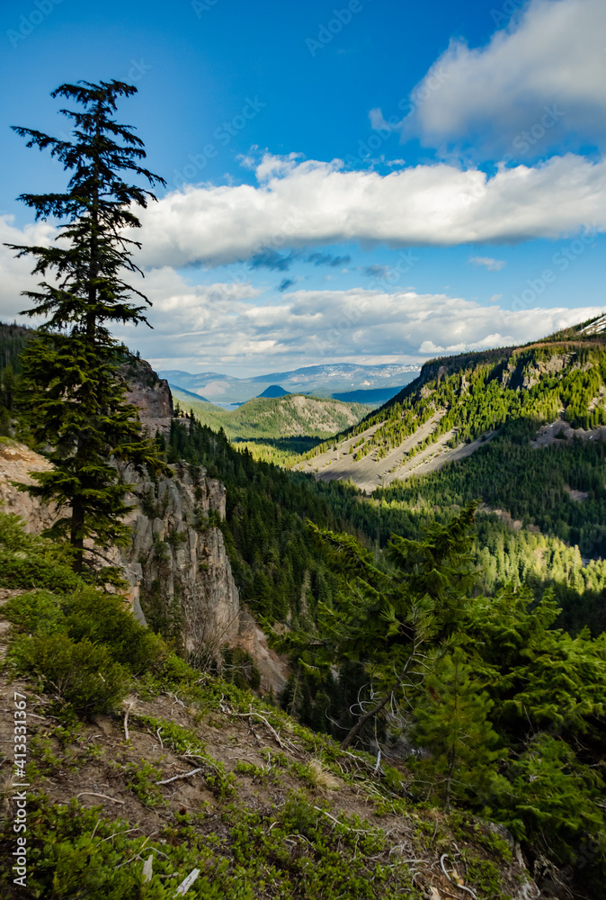 High mountains covered with dense forest, a lake in the distance. Montana