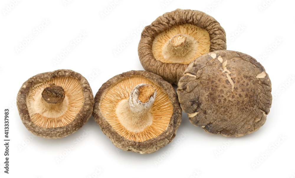 Dried Shiitake Mushroom isolated on white background Dried Shiitake Mushroom isolated on white background