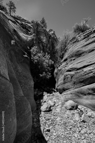 Zion National Park in Black & White river scenes and trails © matt