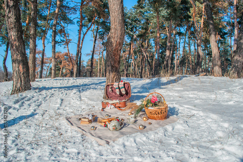 winter picnic in the forest with tea and buns, knitting kit, old suitcase, wicker basket, in a pine forest in retro style. The idea for a winter photo in the winter in the forest in a retro style photo