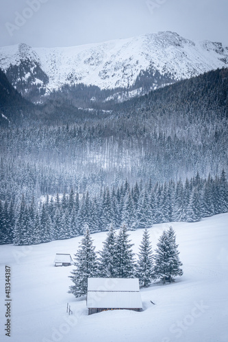 Snowy valley - Kalatówki, Tatra Mountains, Poland