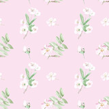 cherry blossoms pattern. Hand drawn seamless watercolor pattern  cherry flowers and leaves on a pink background.