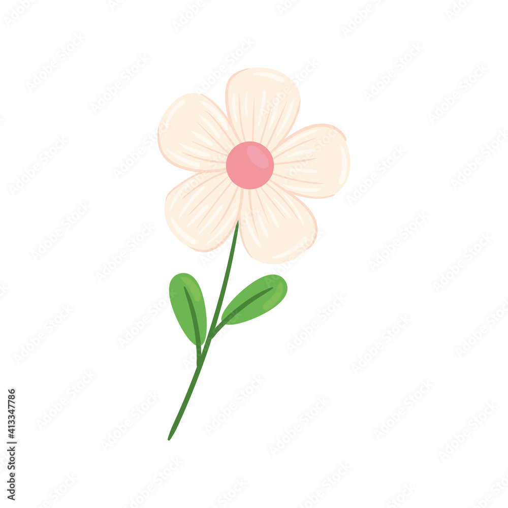 beauty white and pink flower and leafs spring season icon vector illustration design
