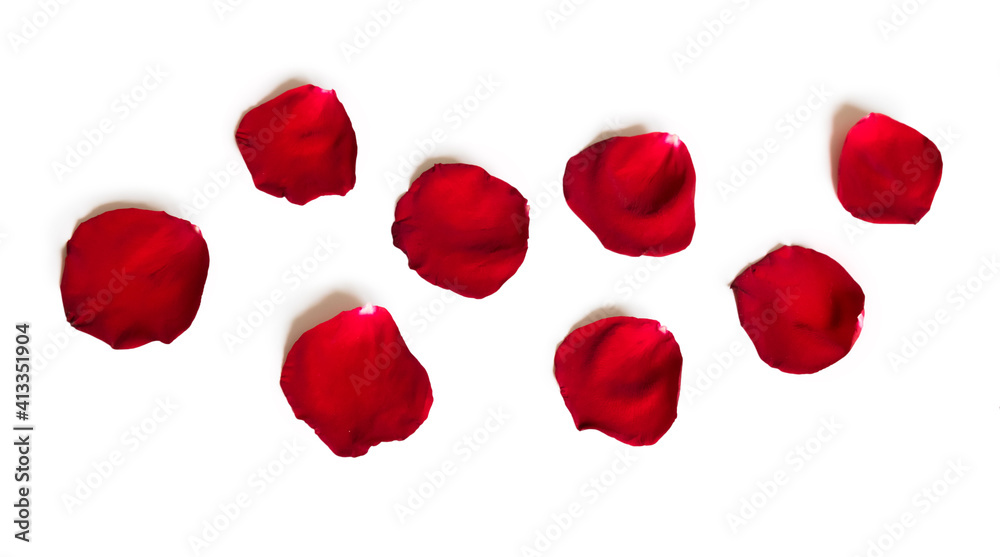 Red petals of rose flower isolated on white background