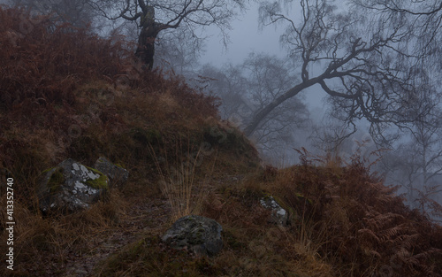 Gesta mgła brzozy we mgle sciezka w gorachGlen Lyon2 photo