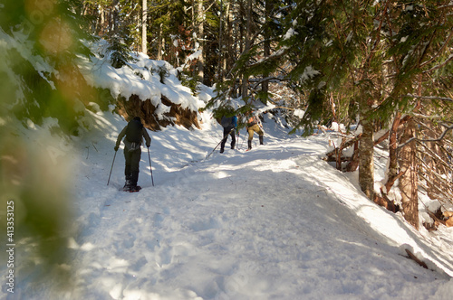 Friends hiking snowshoeing in winter forest among trees covered with fresh snow. Winter sports. Active women in mountains. photo