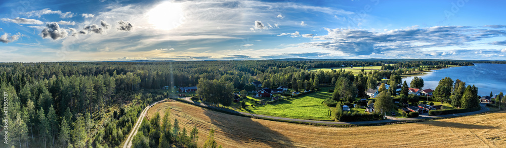 Breathtaking Aerial Panorama on golden ripe rye field, sunny summer field before harvesting. Swedish village at background. Big forest to horizon line, lake, blue summer skies Umea, Northern Sweden