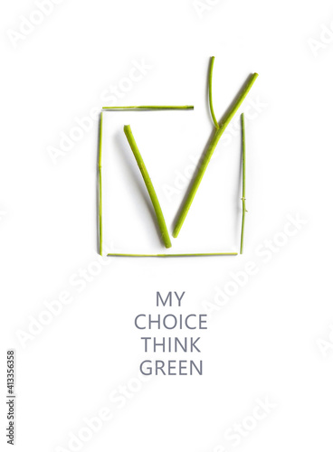 Environmentally friendly planet concept. Think Green. Right sign or tick mark is represent approval, right choice, correct selection, true option, positive answer, saying yes, acceptance, confirmation