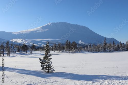 snow covered mountains