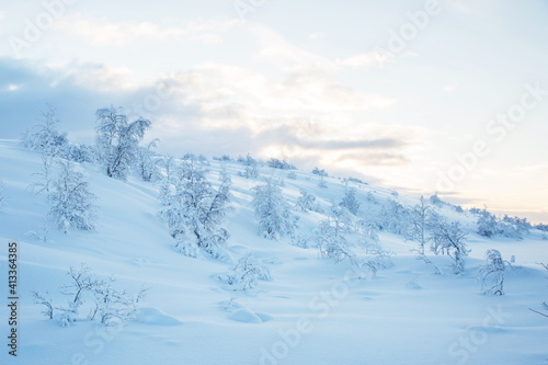 winter landscape on a sunny day. winter nature of the far north. beautiful trees in the snow in the wild 