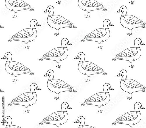 Vector seamless pattern of hand drawn doodle sketch duck isolated on white background