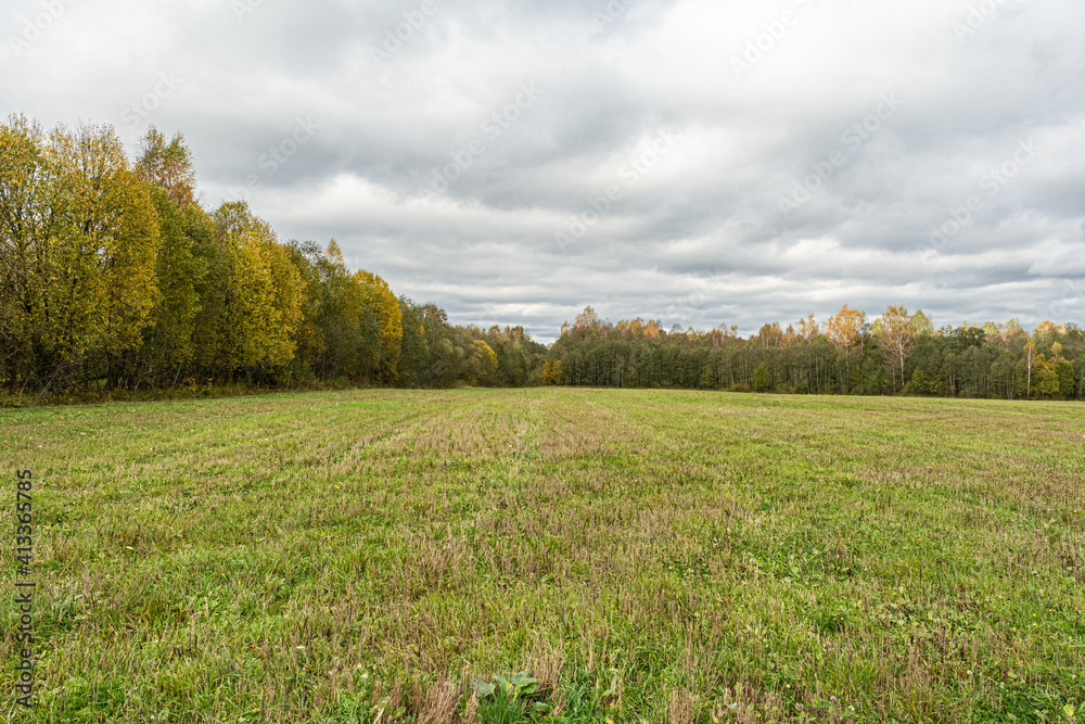 Fototapeta premium Green field is surrounded by autumn forest. Cloudy autumn day. Nature landscape background