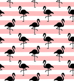 Vector seamless pattern of flamingo silhouette isolated on pink strapped white background