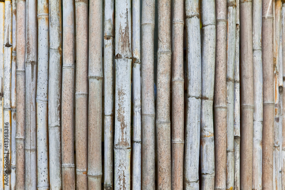 Beautiful exotic bamboo facade, detail. Beautiful exotic bamboo facade, detail.