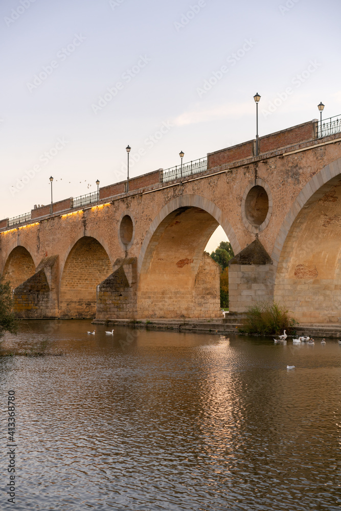 Badajoz Palmas bridge at sunset with ducks on Guadiana river, in Spain