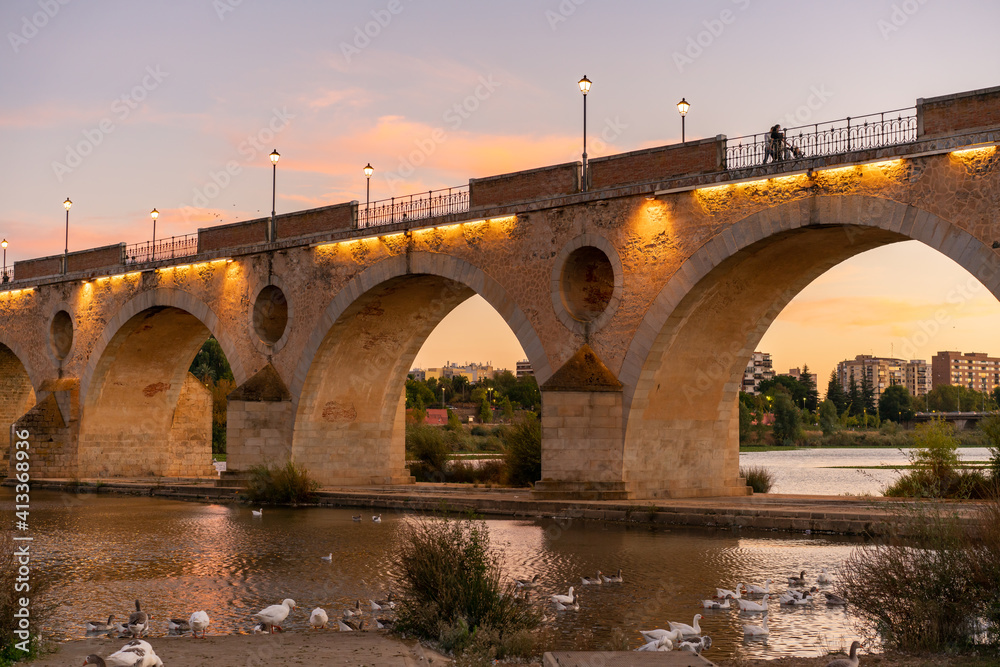 Fototapeta premium Badajoz Palmas bridge at sunset with ducks on Guadiana river, in Spain