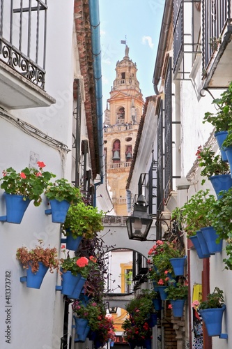 Flower Alley and Mosque in Cordoba, Spain