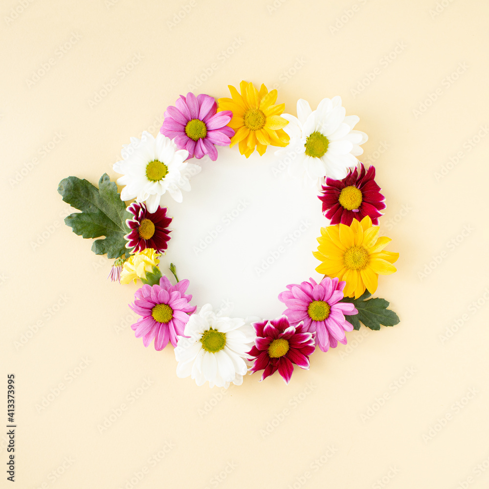 Vibrant color spring blooming flowers  arranged in cyrcle shape with copy space on pastel background. Minimal creative concept.