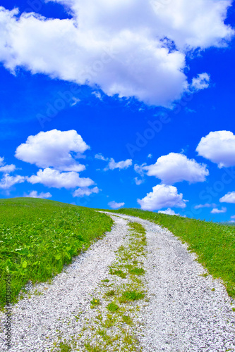 初夏の北海道宗谷丘陵、貝殻を敷き詰めた白い道と緑の草原