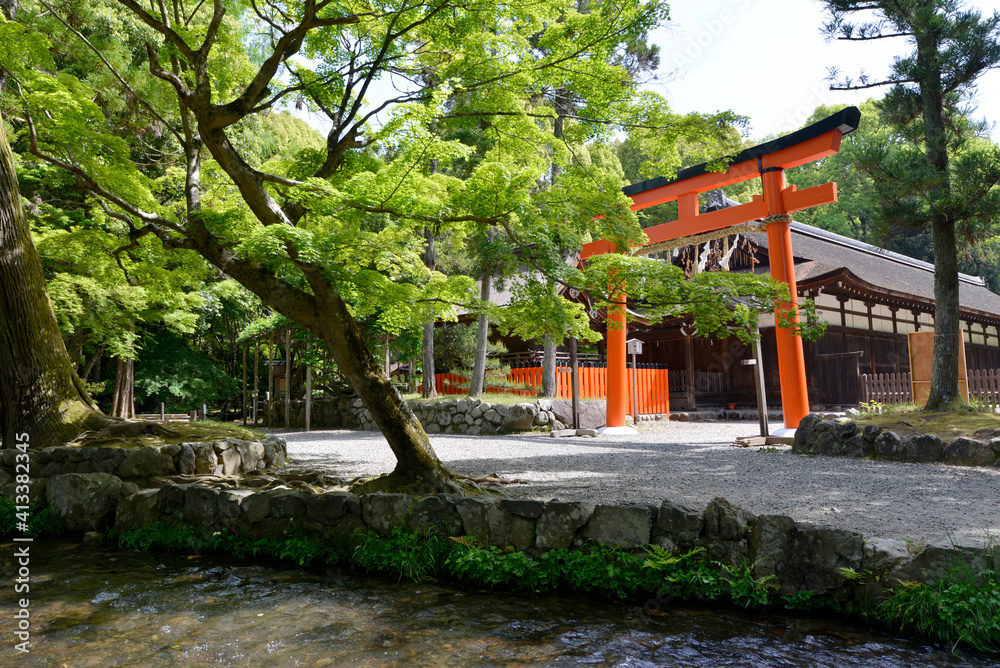 Fototapeta premium 上賀茂神社 ならの小川と庁屋 京都市
