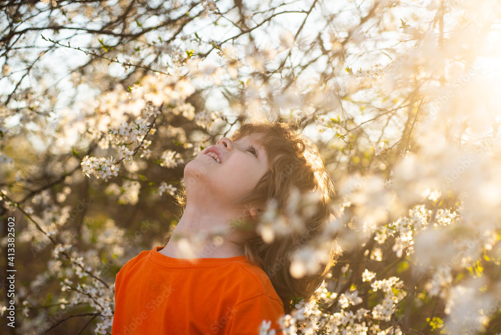 Spring boy in blooming tree in spring park. Smiling kid outdoor. Blossom garden. Spring boy in blooming tree in spring park. Smiling kid outdoor. Blossom garden.