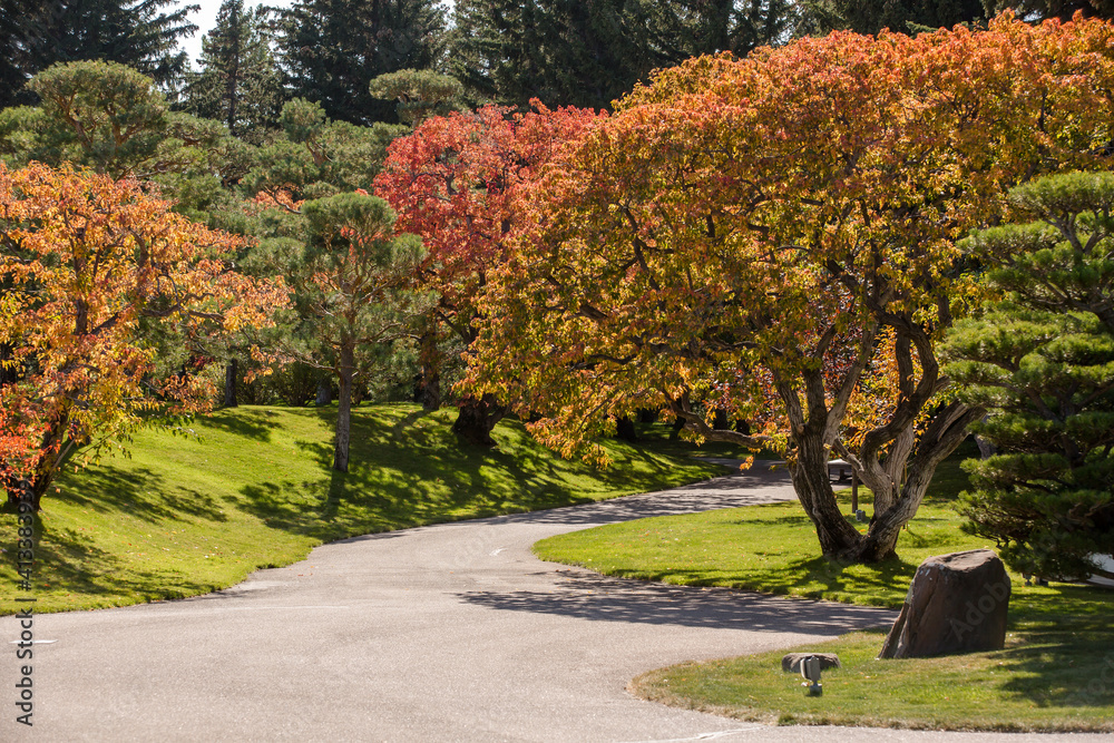 Naklejka premium Beautiful fall Japanese garden