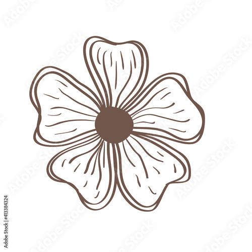 spring flower hand drawn style icon vector illustration design