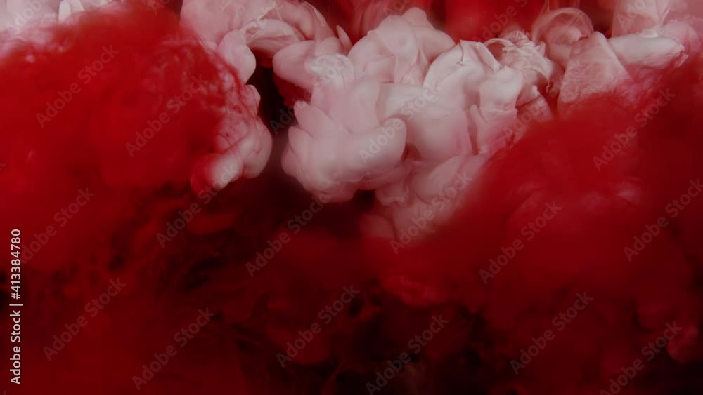 Amazing underwater shot of white color that collide with red and black ink and create abstract shapes. Color explosion underwater. Slow motion video on a white background. 