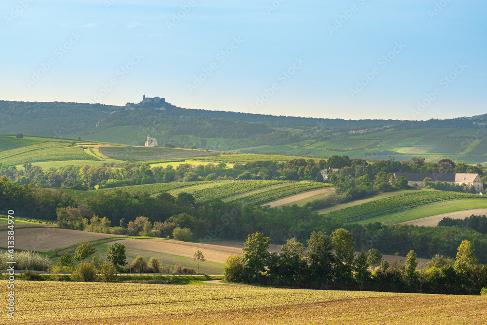 Fototapeta premium region landscape with vineyard, Mikulov, Czech Republic